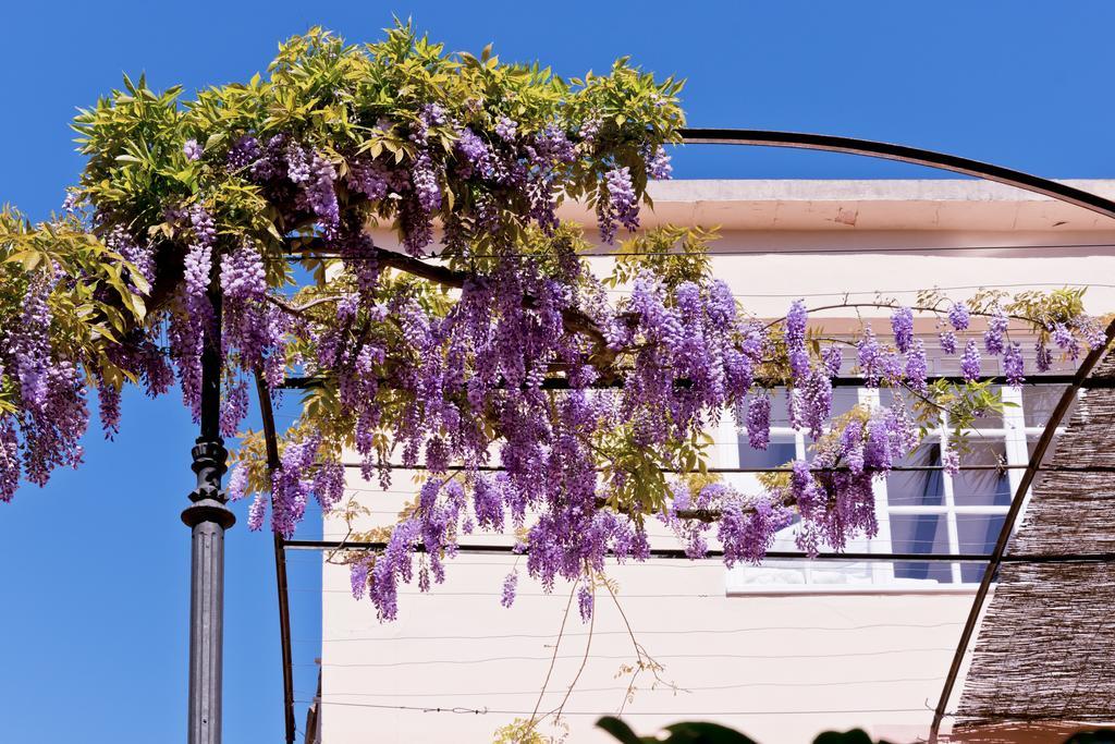 Hotel Can Roses Soller Bagian luar foto
